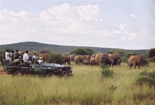 Makanyane Safari Lodge